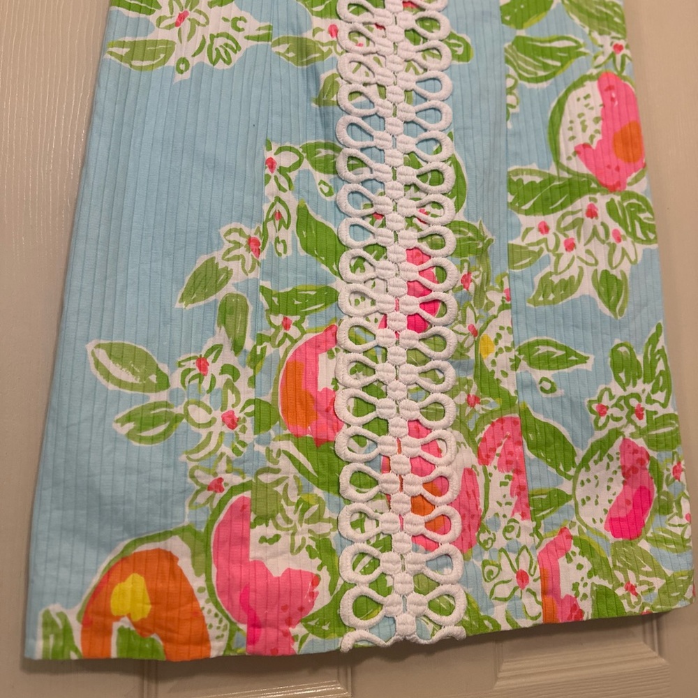 ♦️ Lilly Pulitzer Sleeveless Summer Fruit Dress Size 2 Blue and Pink - Picture 2 of 8